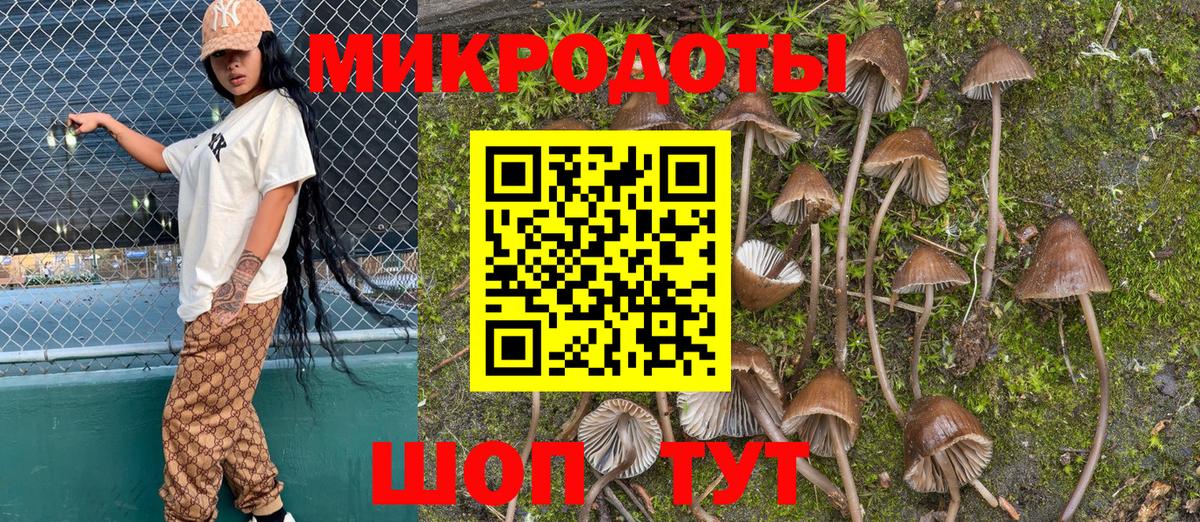 Добрянка  Галлюциногенные грибы GOLDEN TEACHER  Псилоцибиновые грибы GOLDEN TEACHER  Вход с VPN 